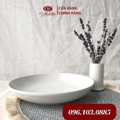 Đĩa sâu Minh Châu 9 (kiểu HQ)